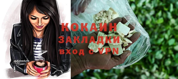 индика Шали