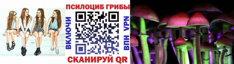 Псилоцибиновые грибы GOLDEN TEACHER  закладки  Кольчугино 
