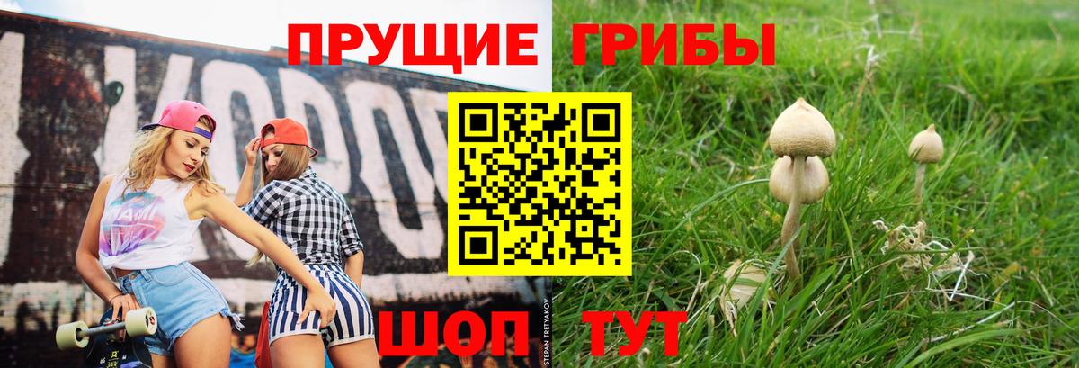 Псилоцибиновые грибы Magic Shrooms Кольчугино