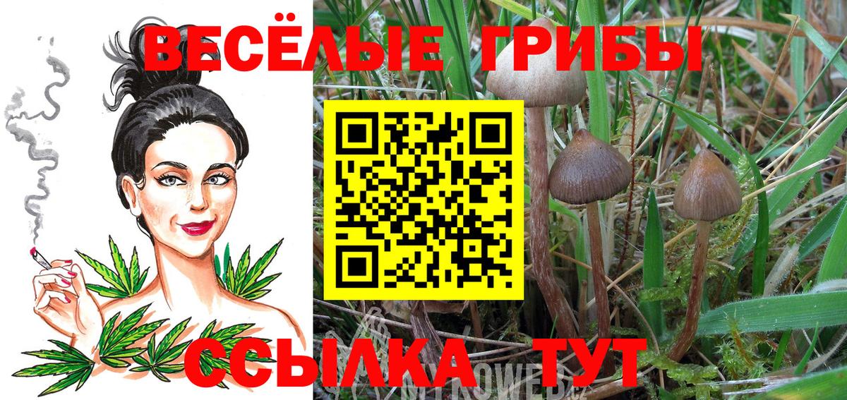 Кольчугино  Галлюциногенные грибы MAGIC MUSHROOMS  Псилоцибиновые грибы мицелий  Вход с VPN 